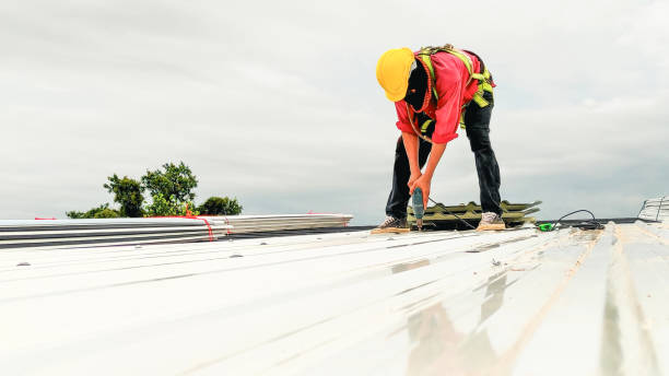 Best Roof Coating and Sealing  in Virginia, MN